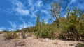 Dry Stoney Creek Bed Under A Cloudy Blue Sky Royalty Free Stock Photo