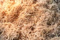 Dry Straw from argriculture on floor with sun light Royalty Free Stock Photo
