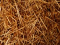 Dry straw background texture Royalty Free Stock Photo