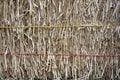 Dry straw bale Royalty Free Stock Photo