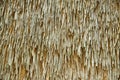 Dry straw bundle as texture or background. Royalty Free Stock Photo