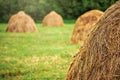 Dry straw haystacks on a green meadow, blurred trees in background Royalty Free Stock Photo