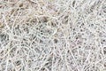 Dry Straw Texture Royalty Free Stock Photo