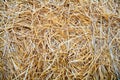 Dry straw texture background