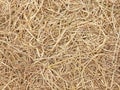 Dry straw texture background Royalty Free Stock Photo