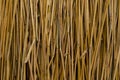 Dry straw texture background, style for design.Reeds texture. Straw surface Royalty Free Stock Photo