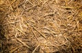 Dry straw texture background Royalty Free Stock Photo