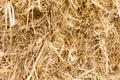 Dry straw texture