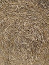 Dry straw texture. Yellow straw grass background. Close-up of a typical bale of straw. Rolled up bale of straw detail. Abstract Royalty Free Stock Photo