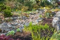 Dry Stream Bed In Spring Royalty Free Stock Photo