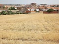 Dry summer landscape in the Extremadura - Spain Royalty Free Stock Photo