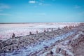 Dry in summer pink salty lake with path, hedged by weathered old wooden sticks