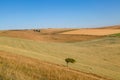 Dry Sussex Patchwork Landscape Royalty Free Stock Photo