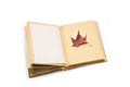 Dry sweet gum tree leaf on an open old photo album Royalty Free Stock Photo