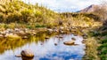 The almost dry Sycamore Creek in the McDowell Mountain Range in Northern Arizona