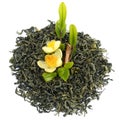 Dry tea isolated. Black, leaves. Royalty Free Stock Photo