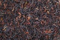 dry tea leaves texture for pattern and background Royalty Free Stock Photo