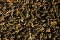 Dry tea texture Royalty Free Stock Photo