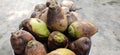 Dry tender coconuts places in a container