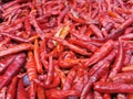 Dry Thai Chilli for Thai Local Food