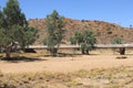Dry Todd river after a period of dryness, global warming in Alice Springs, Australia Royalty Free Stock Photo