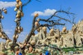Dry Tree with the Authentic Clay pots near the town GÃÂ¶reme in Cappadocia Royalty Free Stock Photo