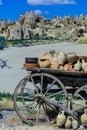 Dry Tree with the Authentic Clay pots near the town GÃÂ¶reme in Cappadocia Royalty Free Stock Photo