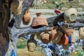 Dry Tree with the Authentic Clay pots near the town GÃÂ¶reme in Cappadocia Royalty Free Stock Photo