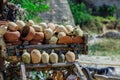 Dry Tree with the Authentic Clay pots near the town GÃÂ¶reme in Cappadocia Royalty Free Stock Photo