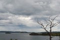 Dry tree on the background of the lake and cloudy sky Royalty Free Stock Photo