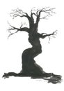 Silhouette of a dry tree. An old, lonely oak tree Royalty Free Stock Photo