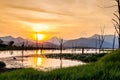 Dry tree with lake and mountain in sunset Royalty Free Stock Photo