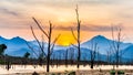 Dry tree with lake and mountain in sunset Royalty Free Stock Photo
