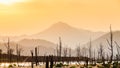 Dry tree with lake and mountain in sunset Royalty Free Stock Photo