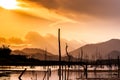 Dry tree with lake and mountain in sunset Royalty Free Stock Photo