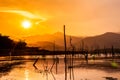 Dry tree with lake and mountain in sunset Royalty Free Stock Photo