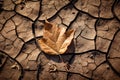 Dry tree leaf over dried cracked soil, global warming concept. Generative AI illustration Royalty Free Stock Photo