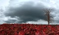 Dry tree and red leafs , 3D rendering Royalty Free Stock Photo