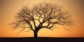 Dry tree silhouette mystery scary scene background