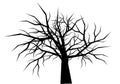 Dry tree silhouette on white background vector. Royalty Free Stock Photo