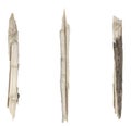 Dry tree twigs branches isolated on white background. set pieces of broken wood plank. collage small wood chips close-up