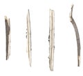 Dry tree twigs branches isolated on white background. set pieces of broken wood plank. collage small wood chips close-up