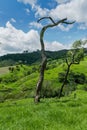 Beautiful landscape view with lots of vegetation and mountains around, located in the rural region of Jardim das Oliveiras.