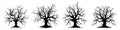 Dry trees black and white hand drawn illustrations set. Twisted bare branches, roots silhouettes isolated on white Royalty Free Stock Photo