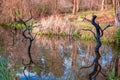 Dry trees in the middle of the water, reflection in the water, natural landscape