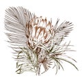 Dry tropical bouquet, protea flower and palm leaves.