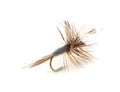 Dry trout fishing fly Royalty Free Stock Photo