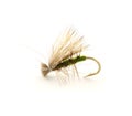 Dry trout fly