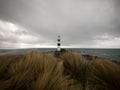 Dry tussock grass view of black and white Cape Campbell lighthouse on pacific ocean beach in Marlborough New Zealand