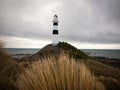 Dry tussock grass view of black and white Cape Campbell lighthouse on pacific ocean beach in Marlborough New Zealand